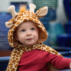 Giraffa 2/3 anni - Mantello...